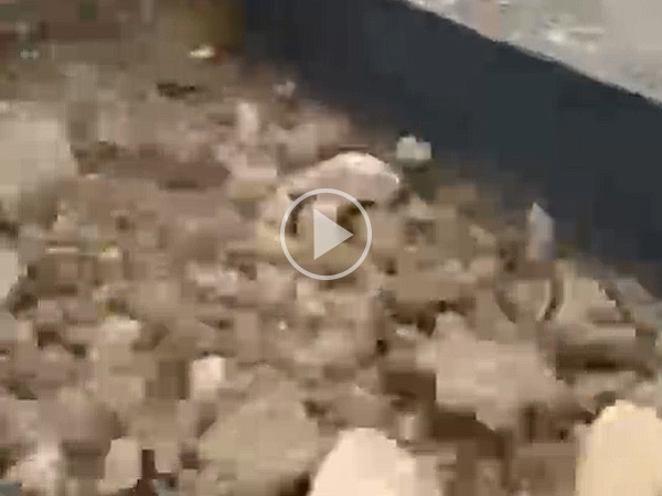 泥石分离机,泥石分离筛分设备